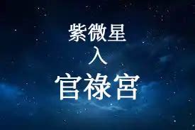 事業宮|事業宮紫微全攻略：解密你的創業與打工之路 